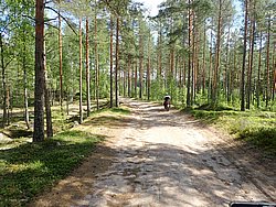 P6190799.JPG