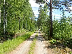 P6190801.JPG
