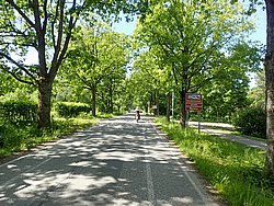 P6190803.JPG