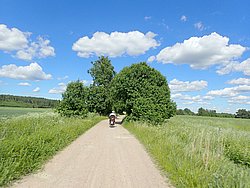 P6190843.JPG