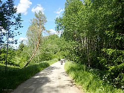P6190865.JPG