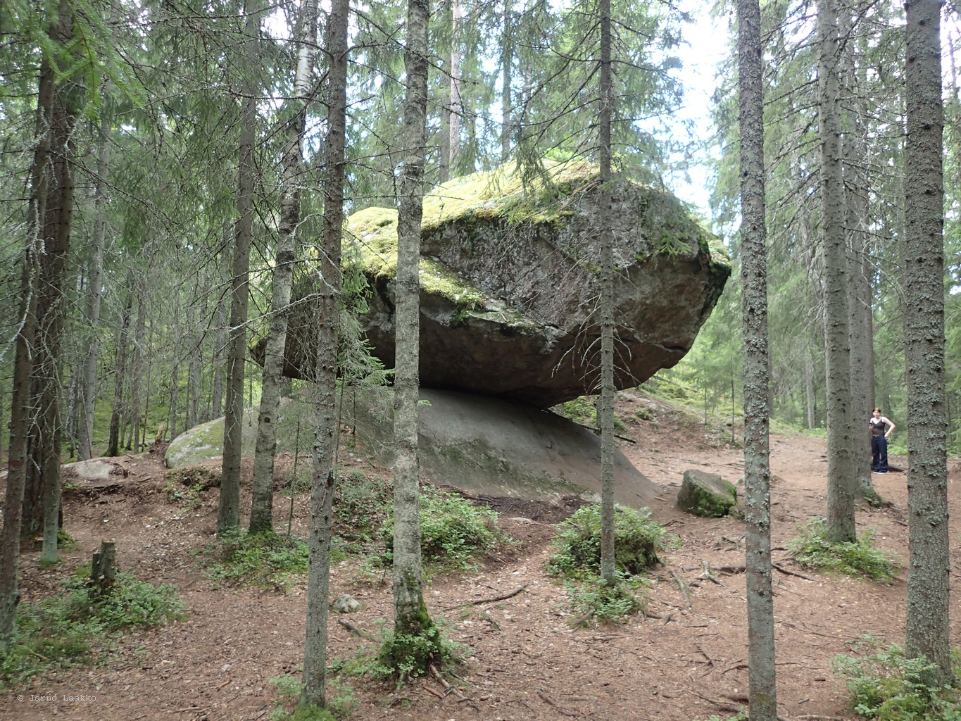 20260724_142533-0037.JPG