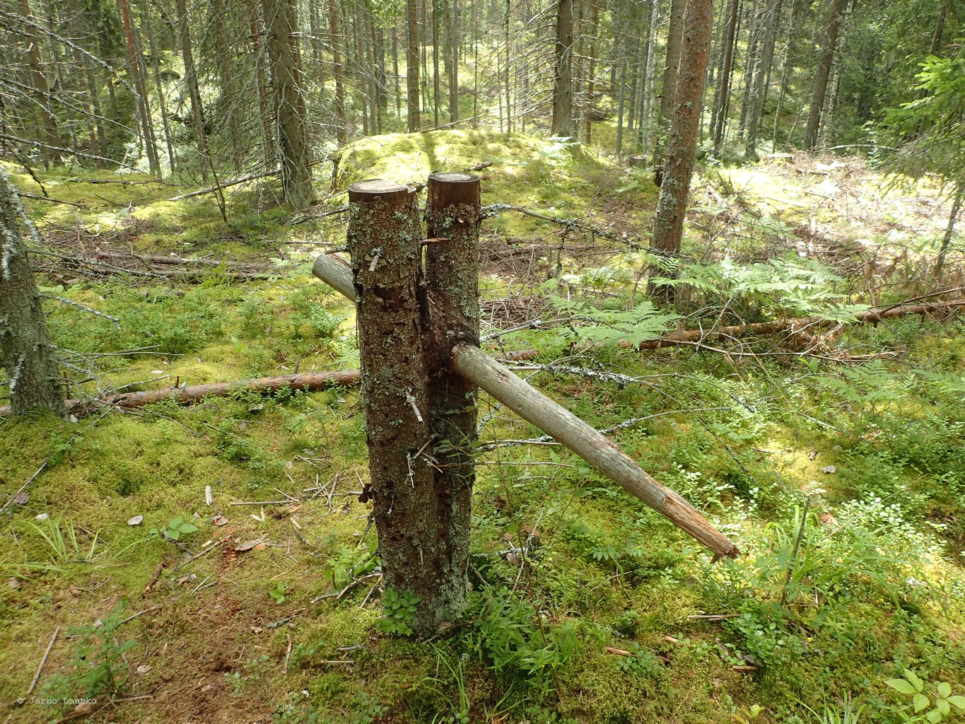 20260724_143358-0041.JPG