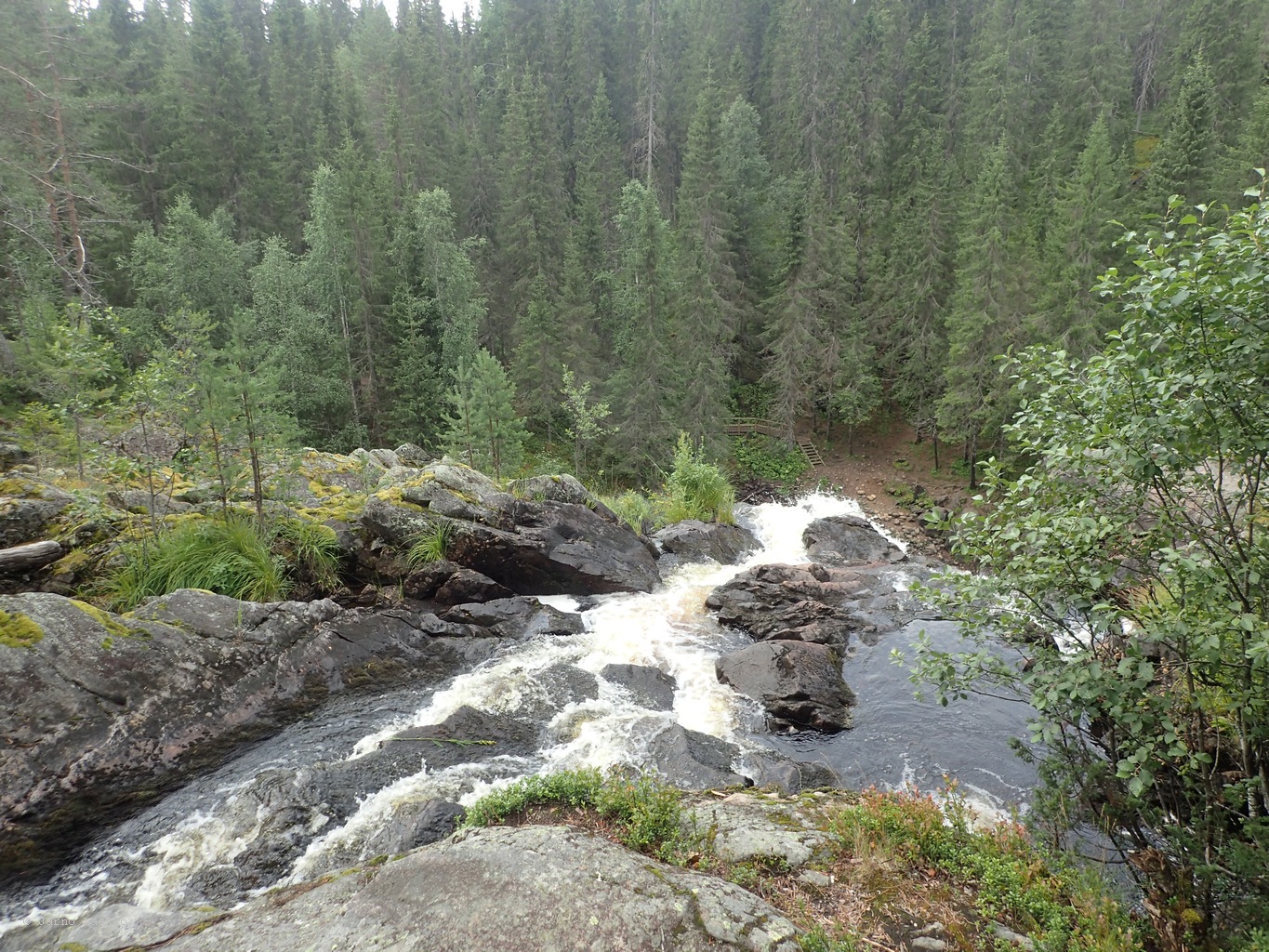 20260727_102313-0014.JPG