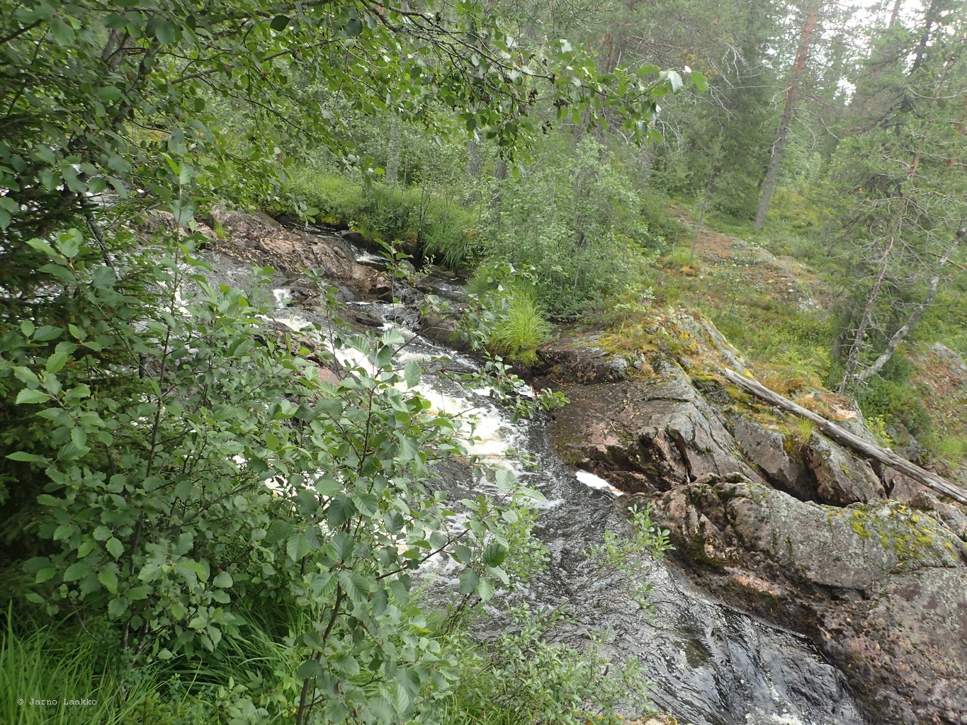 20260727_102317-0015.JPG
