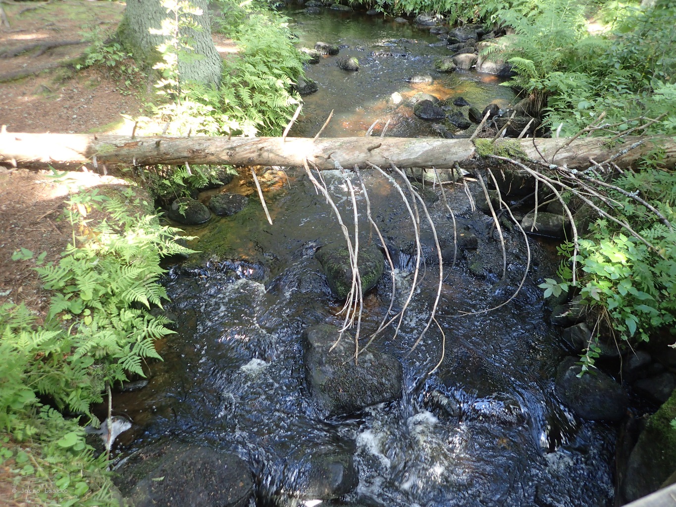20260729_134446-0061.JPG