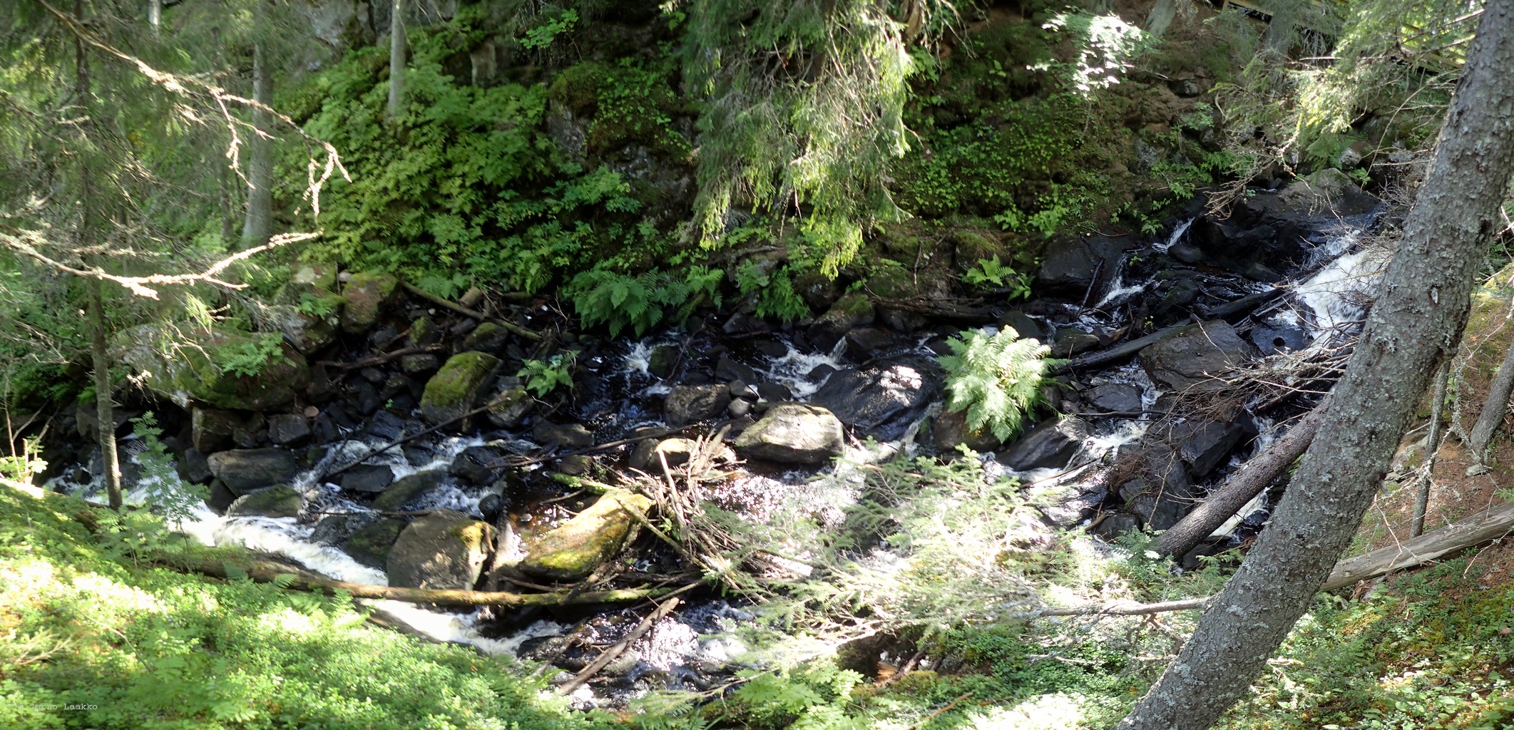 20260729_134545-0064.jpg