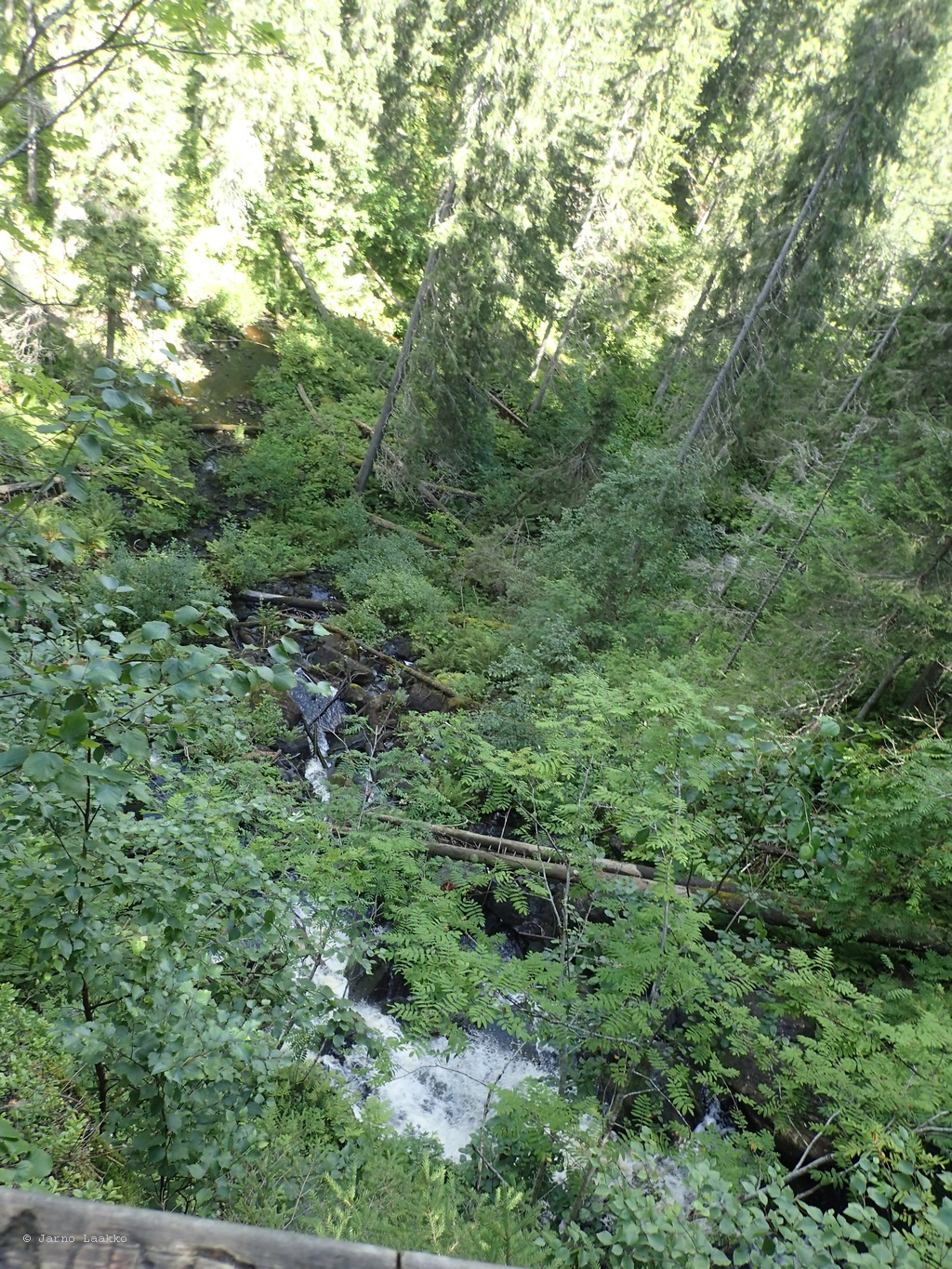 20260729_134700-0068.JPG