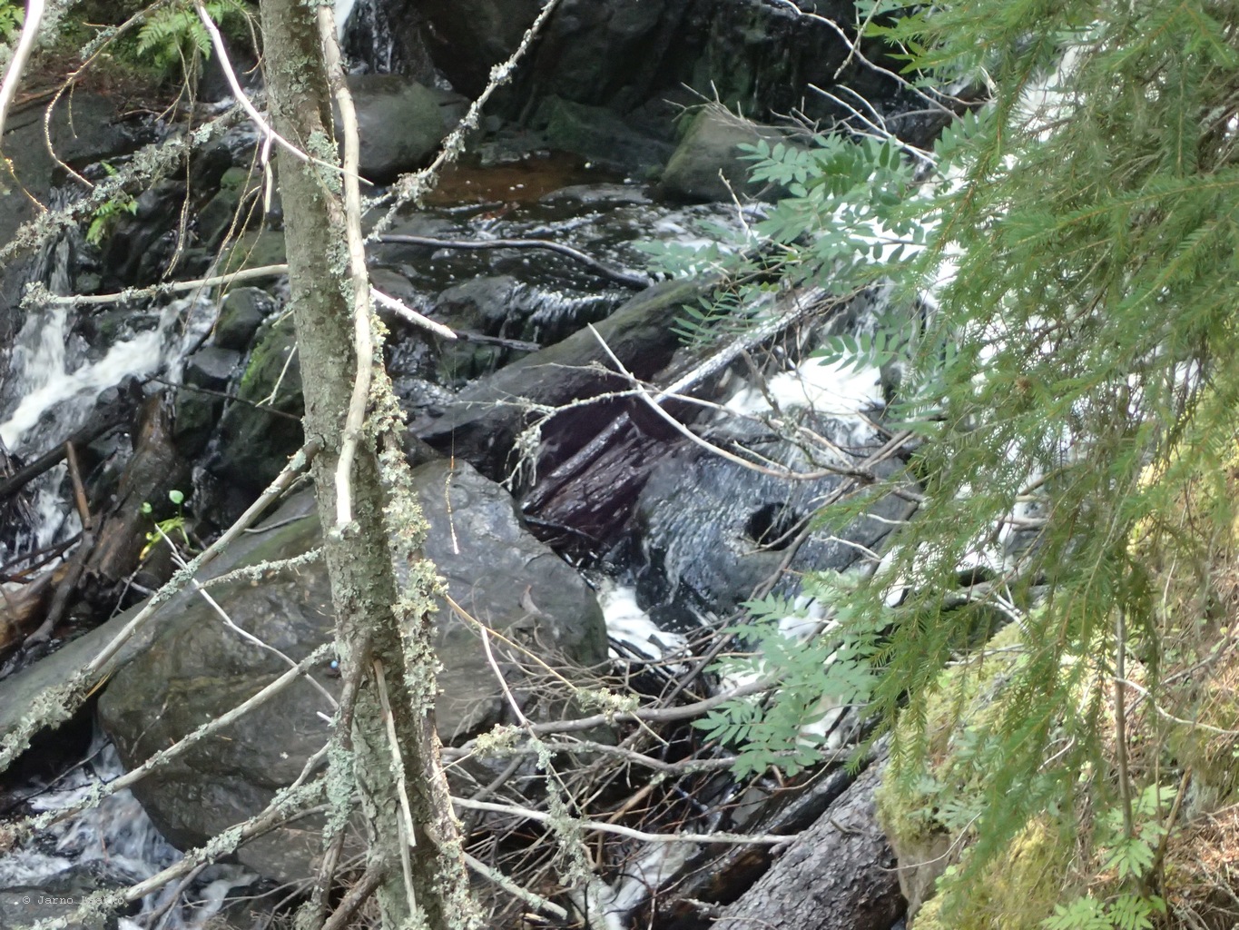 20260729_134915-0070.JPG