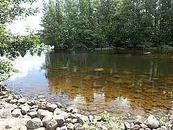 20260724_114249-0016.JPG