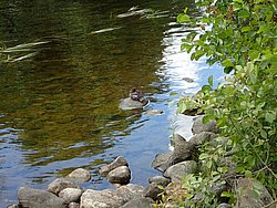 20260724_114517-0019.JPG