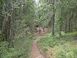20260724_142456-0036.JPG