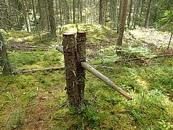 20260724_143358-0041.JPG