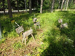 20260725_100034-0006.JPG