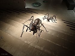 20260725_100620-0008.JPG