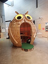 20260725_101443-0010.JPG
