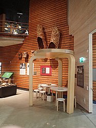 20260725_101929-0016.JPG