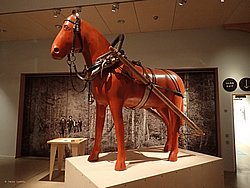 20260725_102534-0020.JPG
