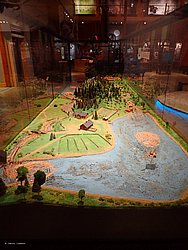 20260725_104607-0041.JPG