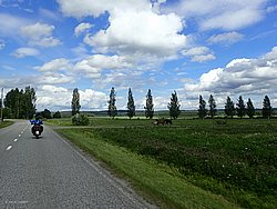 20260725_132138-0094.JPG