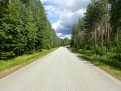 20260725_132814-0100.JPG