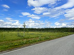 20260725_135243-0106.JPG