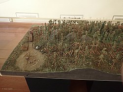 20260725_162717-0141.JPG