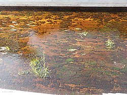 20260725_165956-0197.JPG