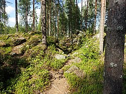 20260725_171903-0206.JPG