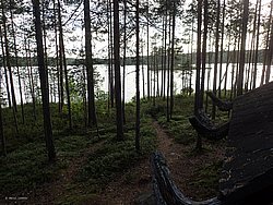 20260725_185341-0238.JPG