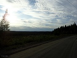20260725_195700-0261.JPG