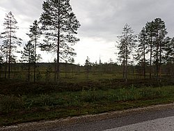 20260726_103359-0007.JPG