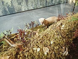 20260726_123947-0027.JPG