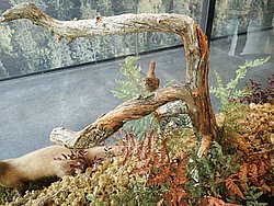 20260726_123953-0028.JPG
