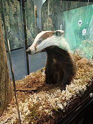 20260726_124000-0029.JPG