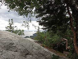 20260726_133102-0045.JPG
