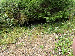 20260726_170700-0073.JPG