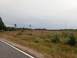 20260726_191354-0085.JPG