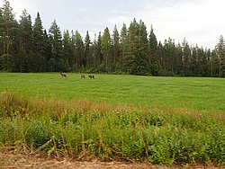 20260726_193233-0087.JPG