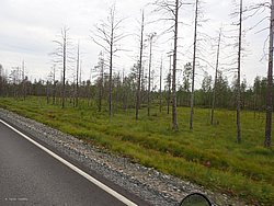 20260727_094341-0005.JPG