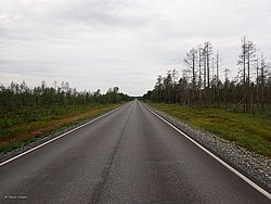 20260727_094344-0006.JPG