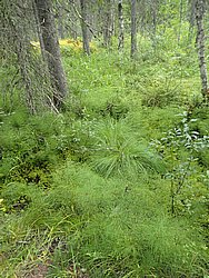 20260727_102047-0012.JPG