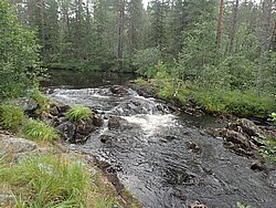 20260727_102246-0013.JPG