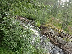 20260727_102317-0015.JPG