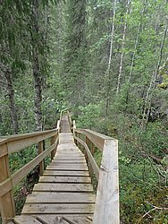 20260727_102544-0017.JPG