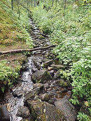 20260727_103858-0022.JPG