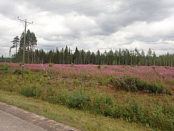 20260727_112211-0045.JPG
