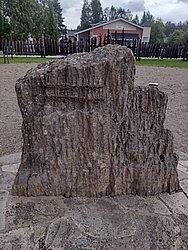 20260727_114027-0040.jpg