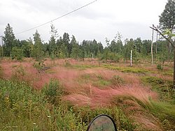 20260727_135410-0078.JPG