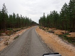 20260727_161438-0108.JPG